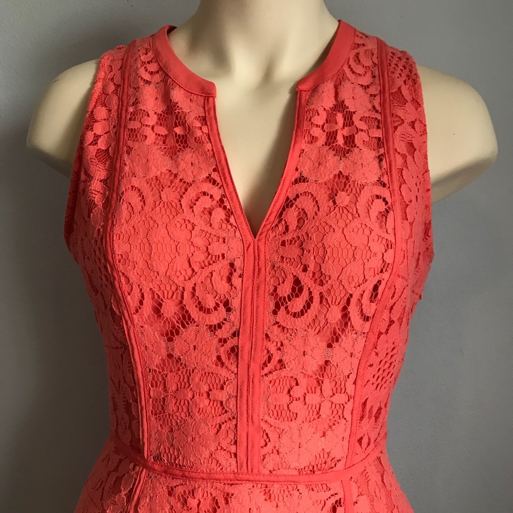 LC Fit & Flare Dress